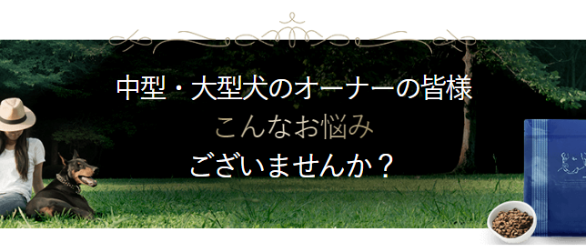 中型・大型犬のオーナーの皆様